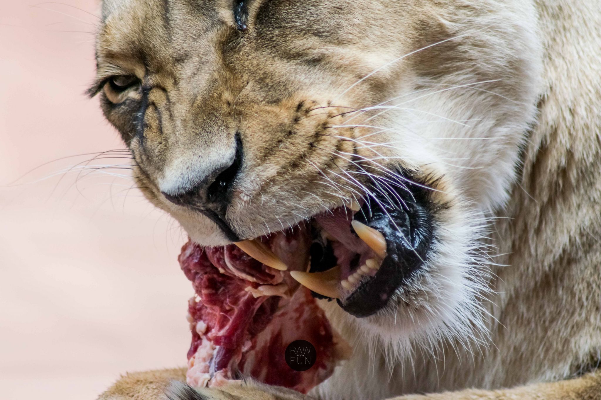 Zoo Erfurt, Germany