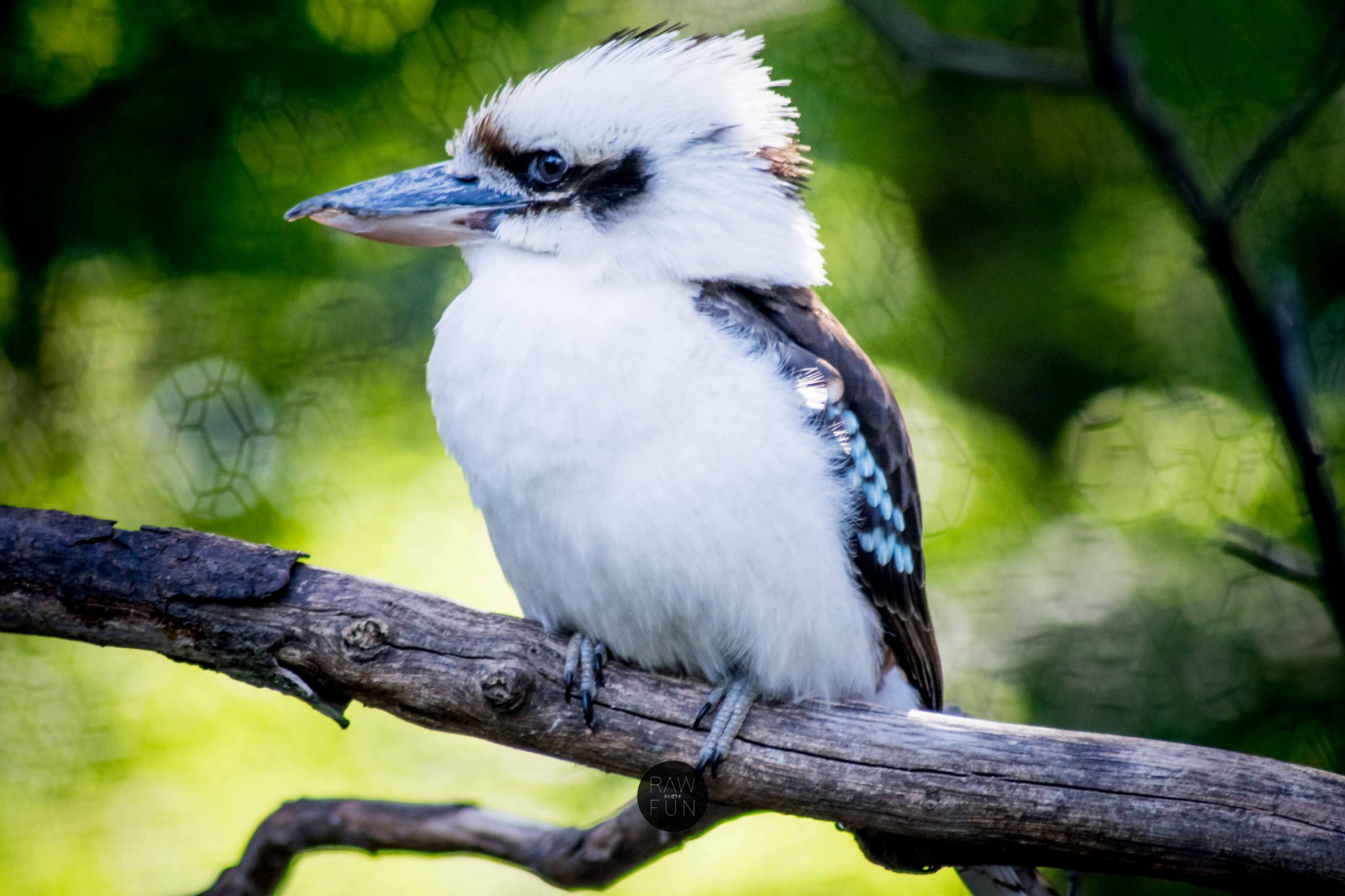 Zoo Erfurt, Germany