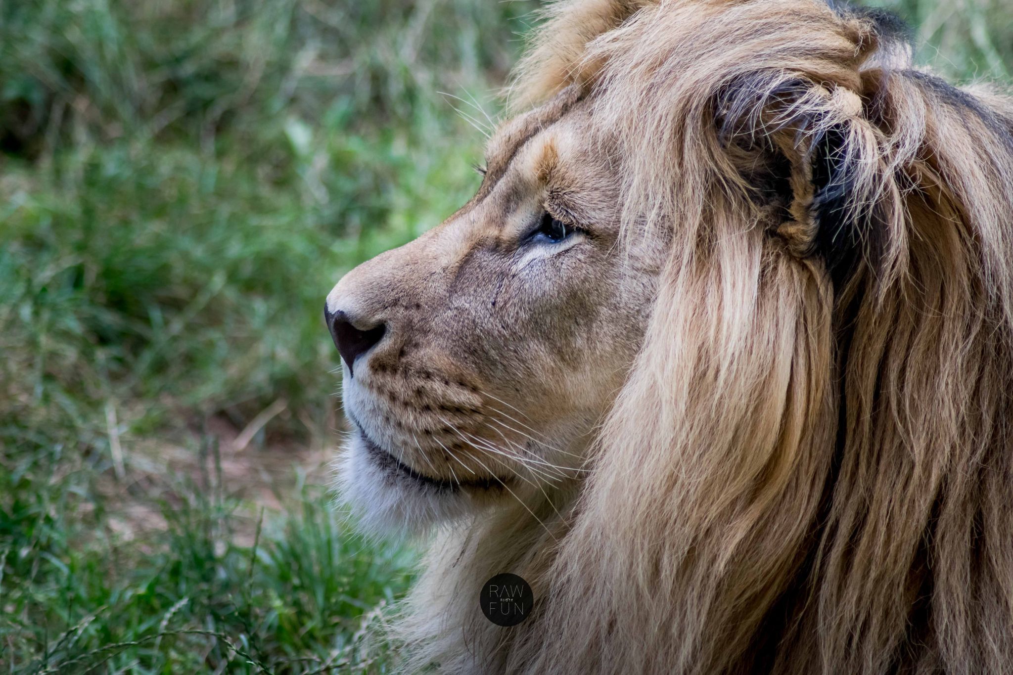 Zoo Erfurt, Germany