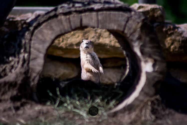 Zoo Erfurt