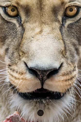 Zoo Erfurt