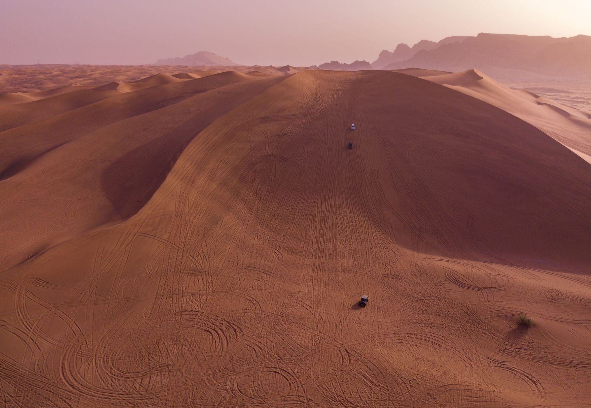 Al Faya Desert, United Arab Emirates