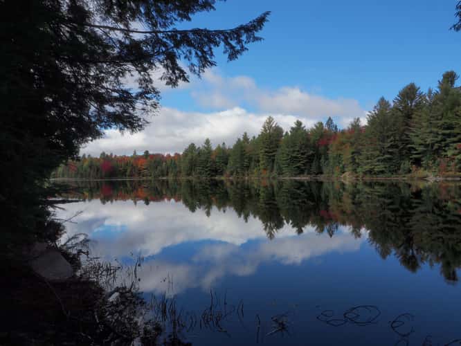 Algonquin Park