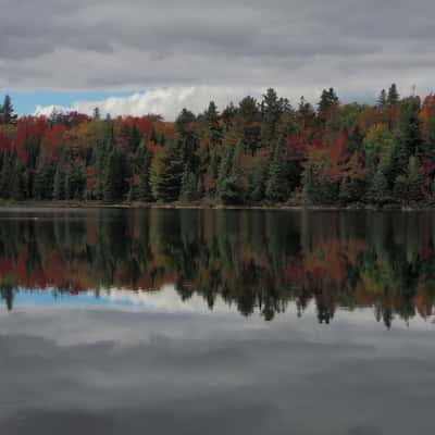 Algonquin Park, Canada