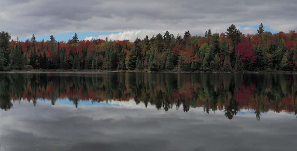 Algonquin Park