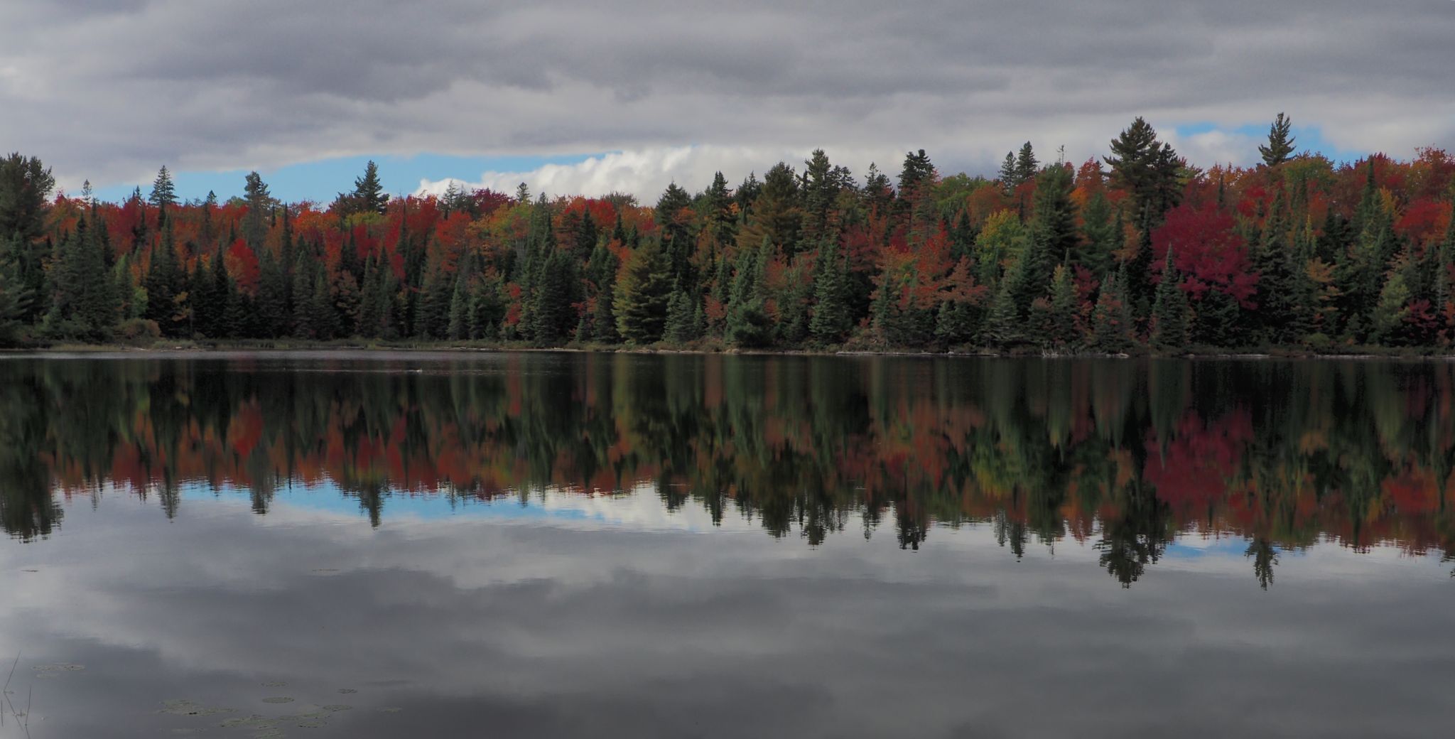 Algonquin Park, Canada