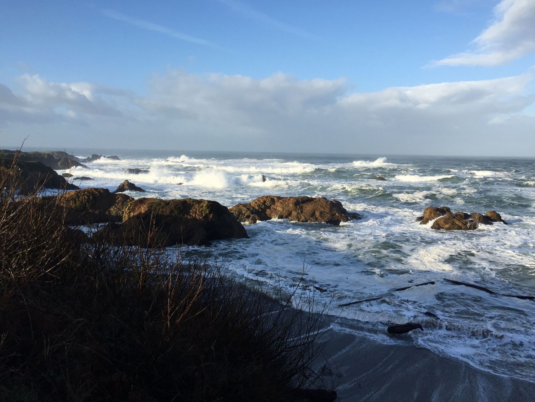 Along the Pacific Coastal Highway, USA