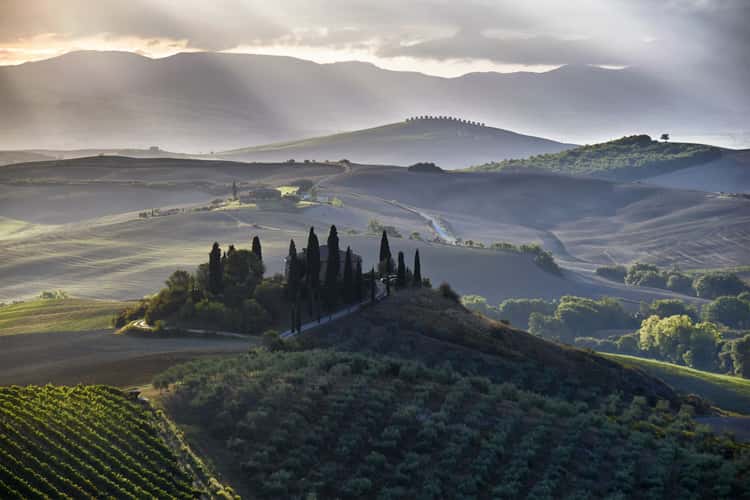 Podere Belvedere in the Val D'orcia Tuscany