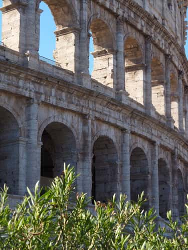 Colosseum (View near Arch of Titus), Rome