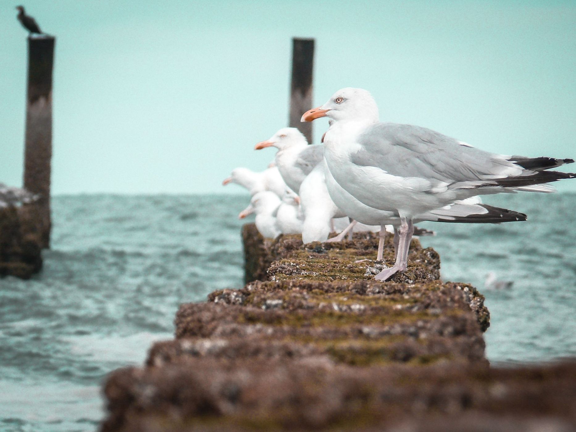 Domburg Beach, Netherlands