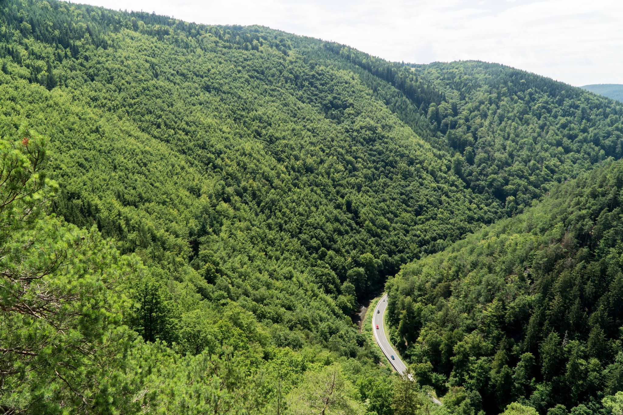Elisabethfelsen - Schwarzatal, Germany