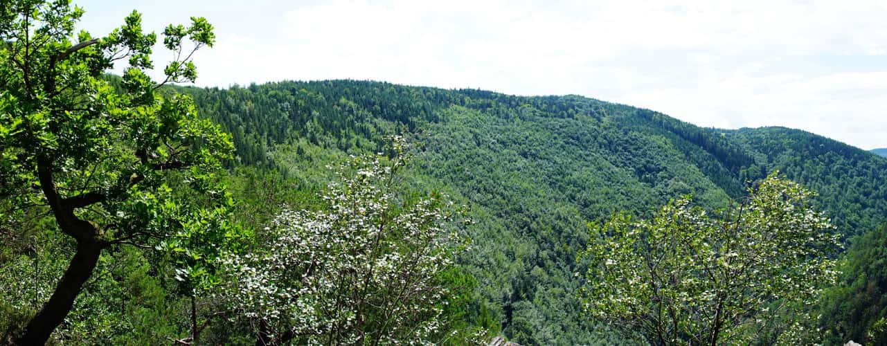 Elisabethfelsen - Schwarzatal