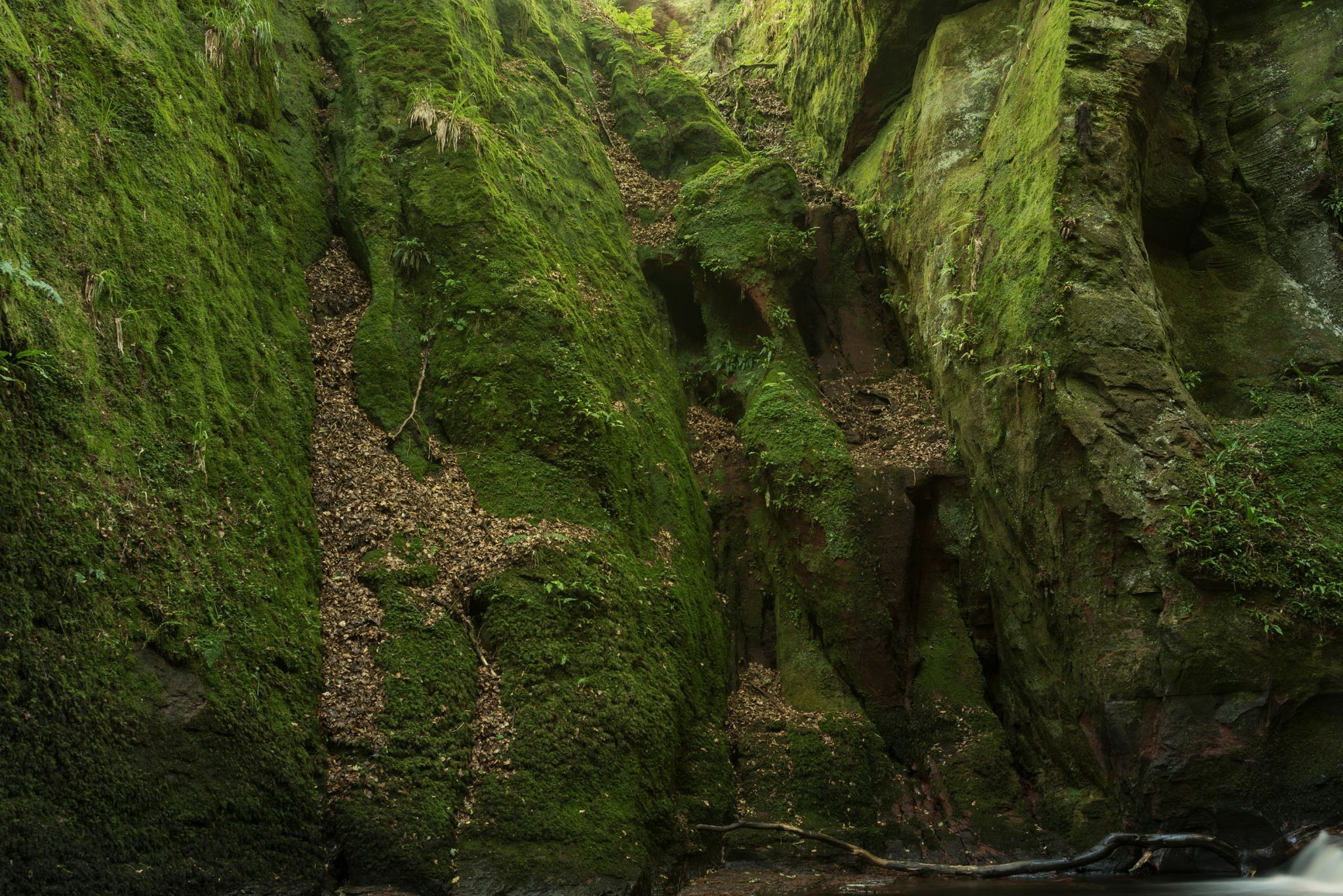 Finnich Glen, United Kingdom