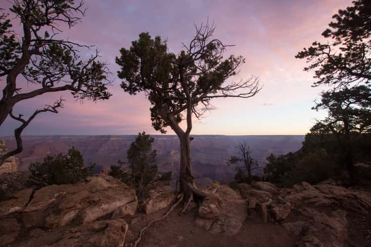 Grand Canyon South Rim Trail