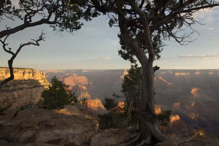 Grand Canyon South Rim Trail