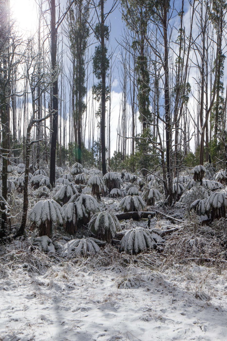 Lake Mountain, Australia
