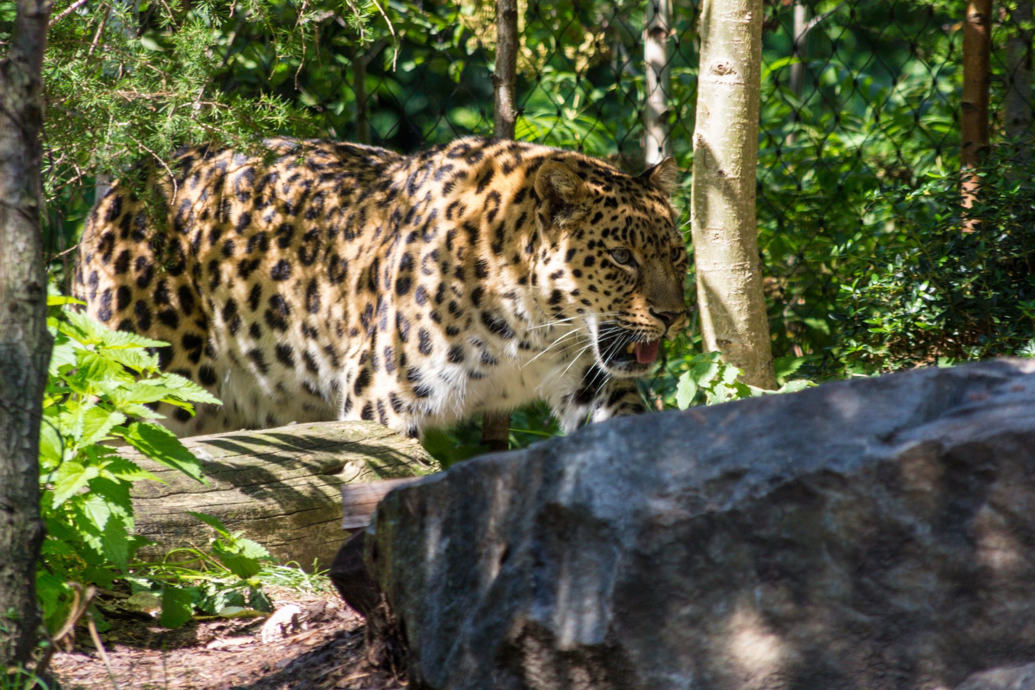 Leipzig Zoo, Germany