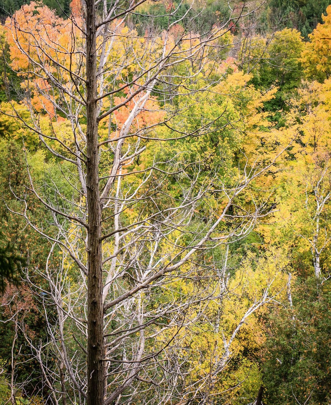 Mount Nemo, Halton, Canada