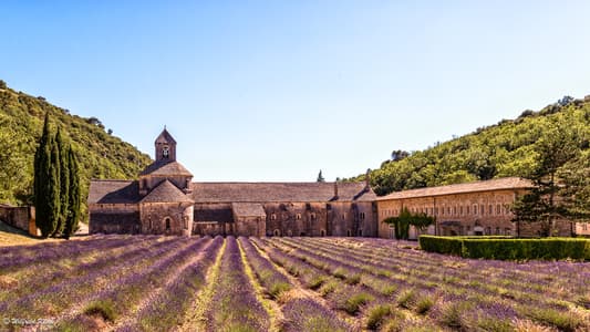 Lavender blossom at Notre-Dame de Sénanque