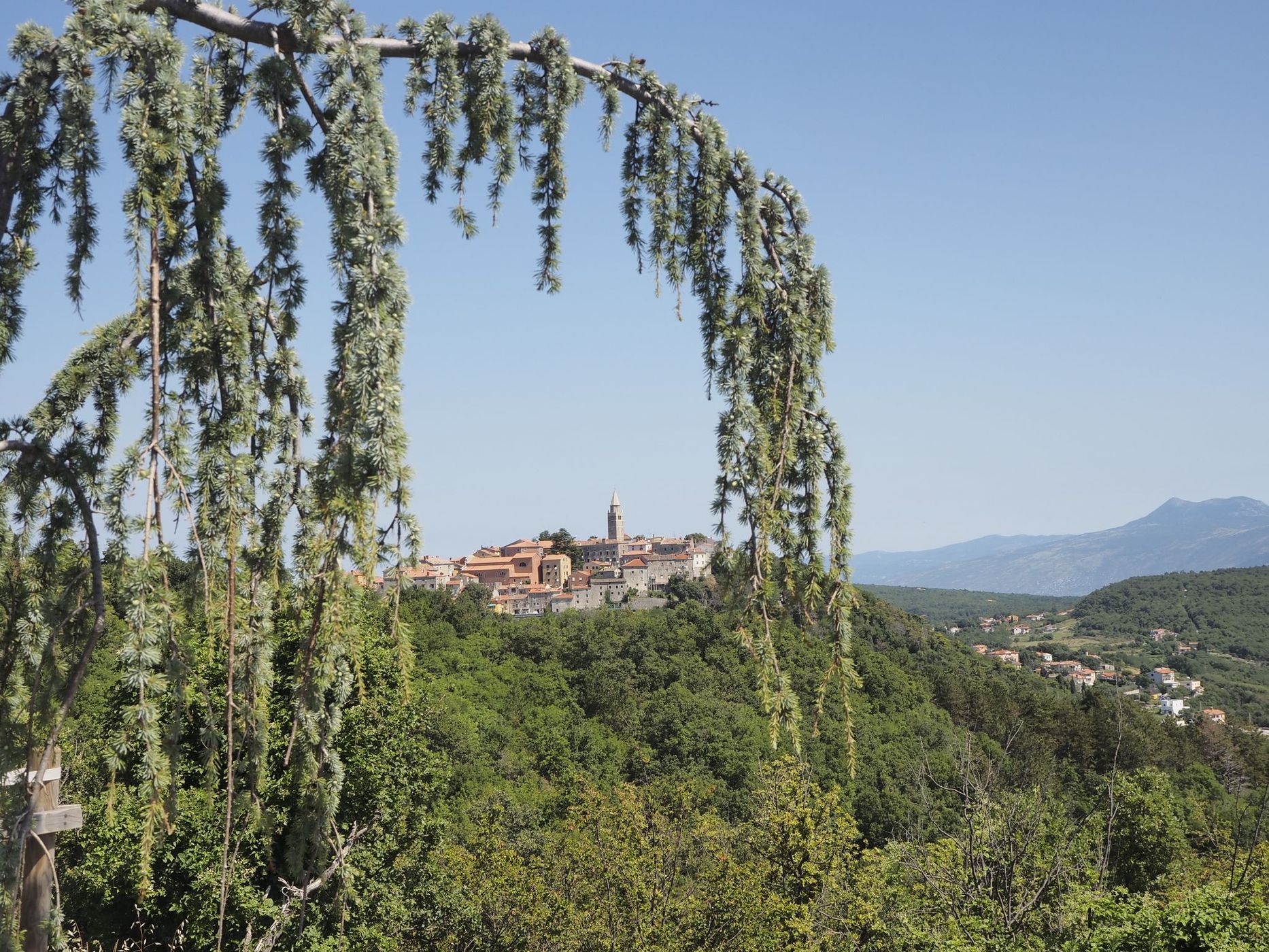 Old town of Labin from cemetry, Croatia