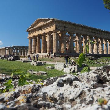 Paestum - Ancient Temple, Italy