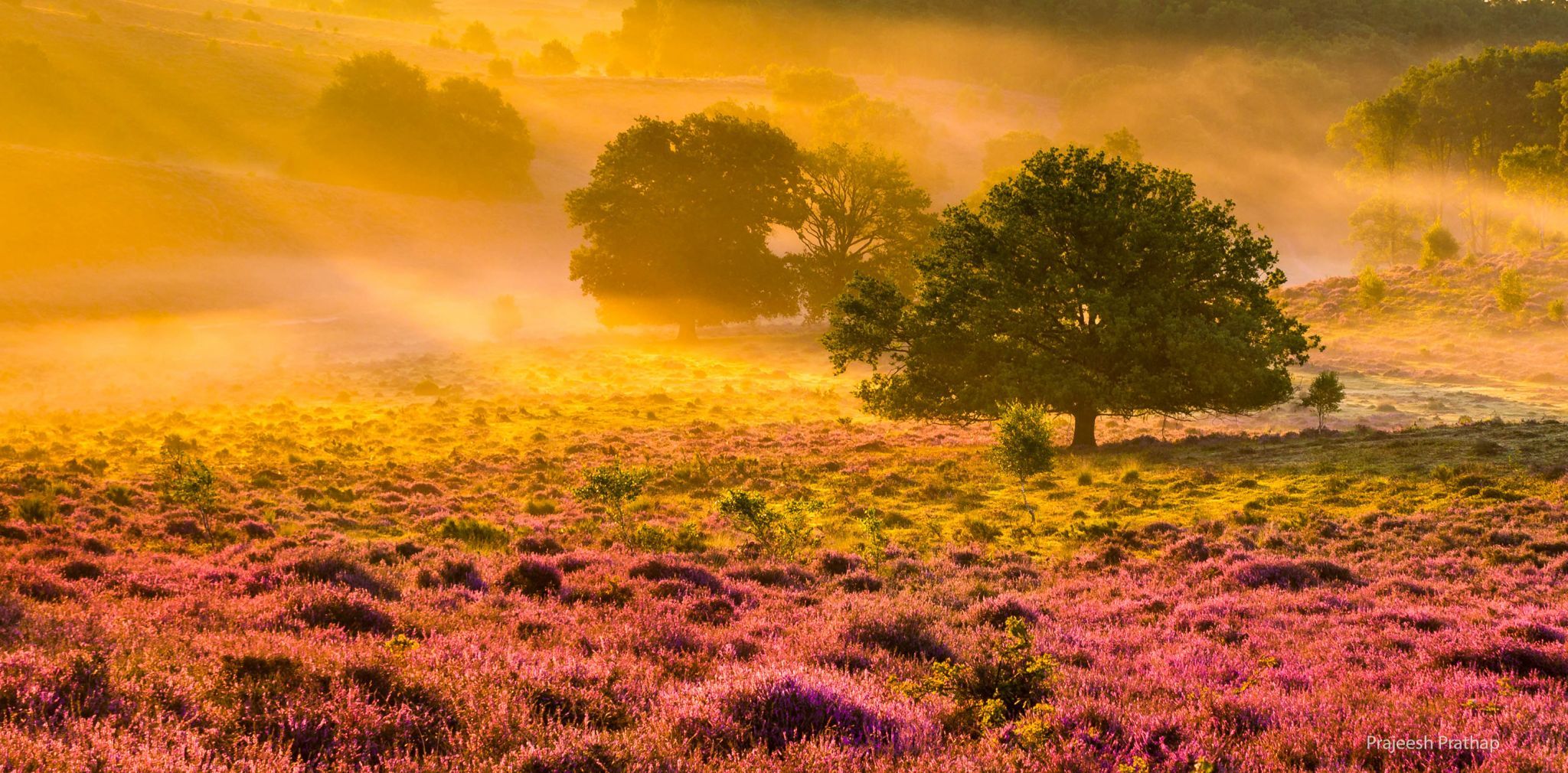 Posbank Arnhem, Netherlands