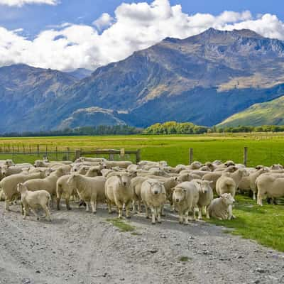 Queenstown on Lake Wakatipu, New Zealand