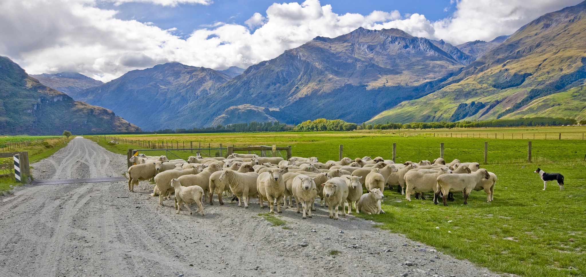 Queenstown on Lake Wakatipu, New Zealand