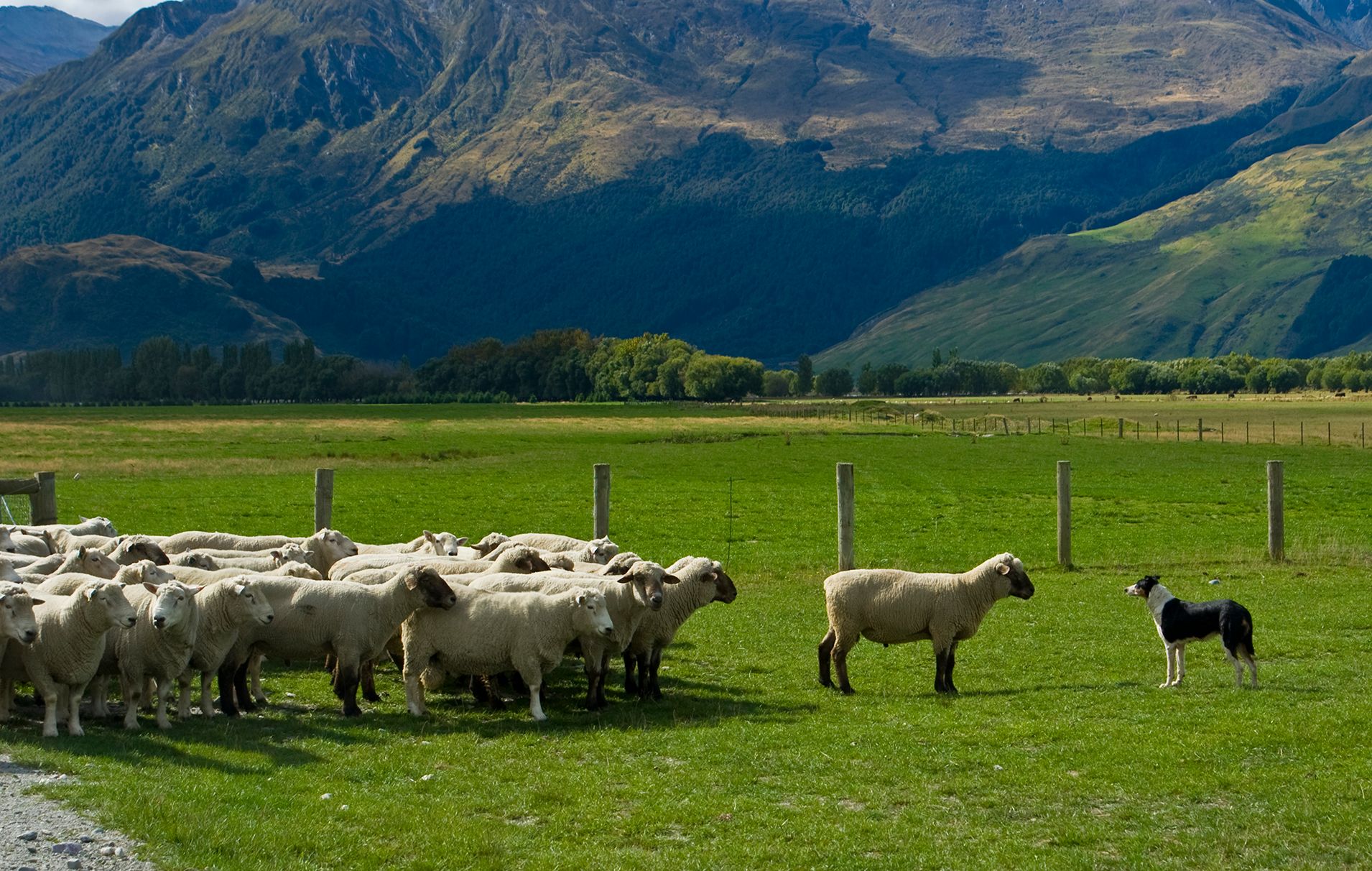 Queenstown on Lake Wakatipu, New Zealand