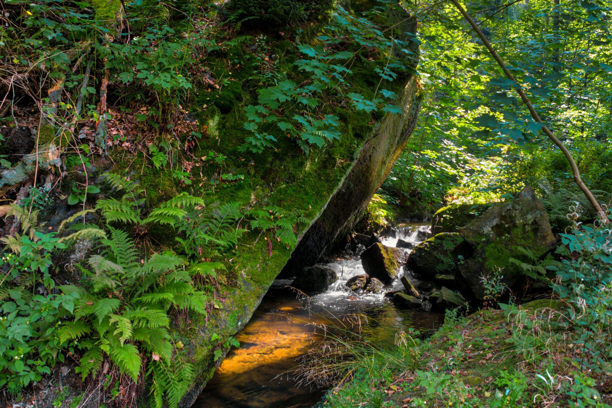 River Biela near Rosenthal, Germany