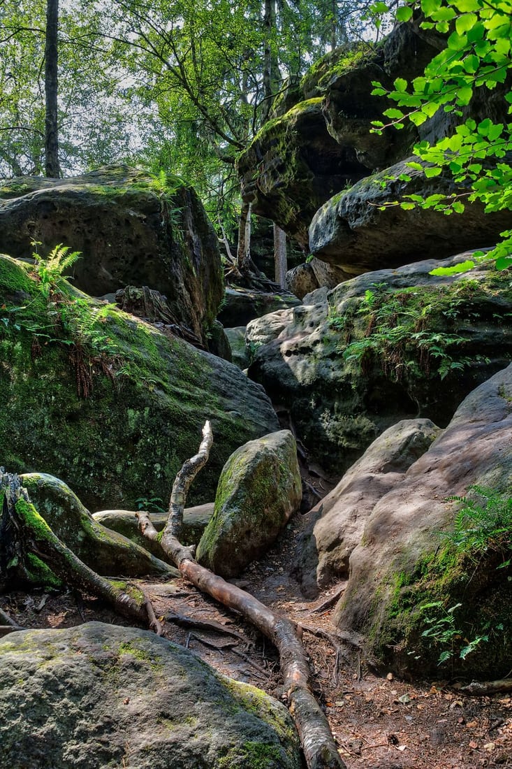 Rock Labyrinth Langenhennersdorf, Germany