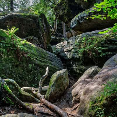 Rock Labyrinth Langenhennersdorf, Germany