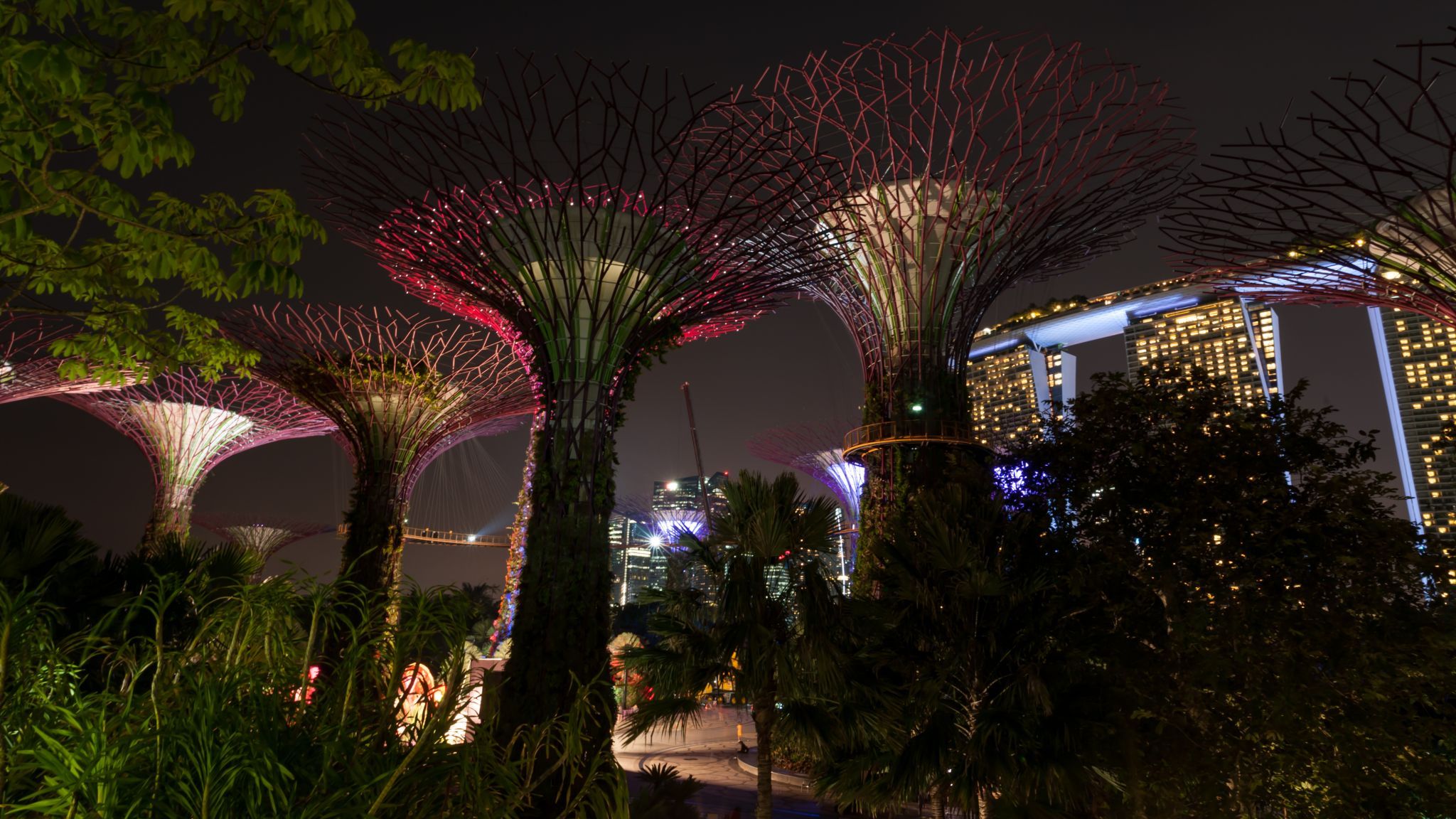 Supertree Grove - Gardens by the bay, Singapore, Singapore
