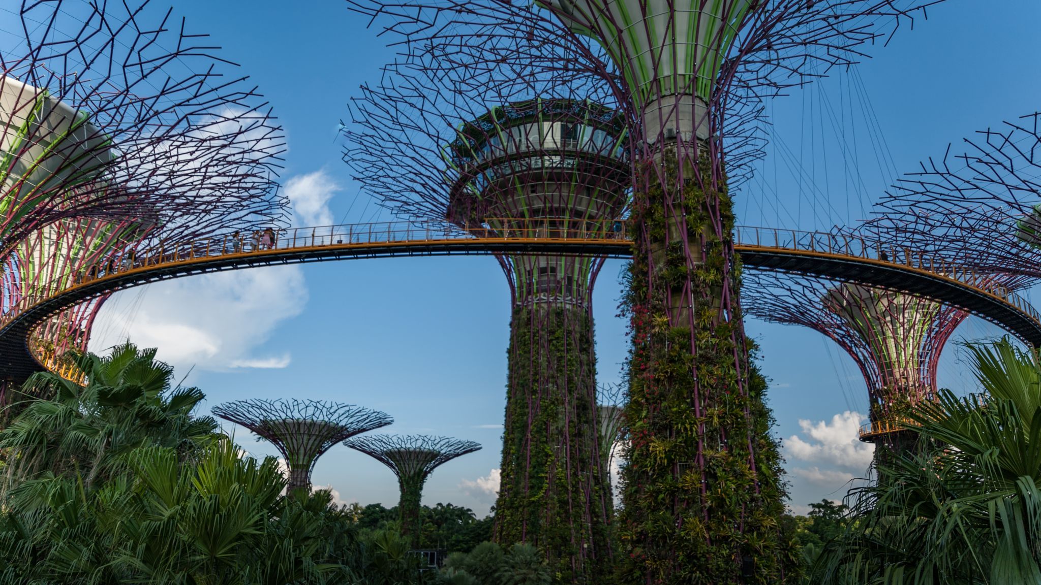 Supertree Grove - Gardens by the bay, Singapore, Singapore