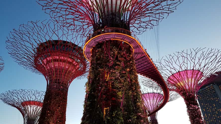 Supertree Grove - Gardens by the bay, Singapore