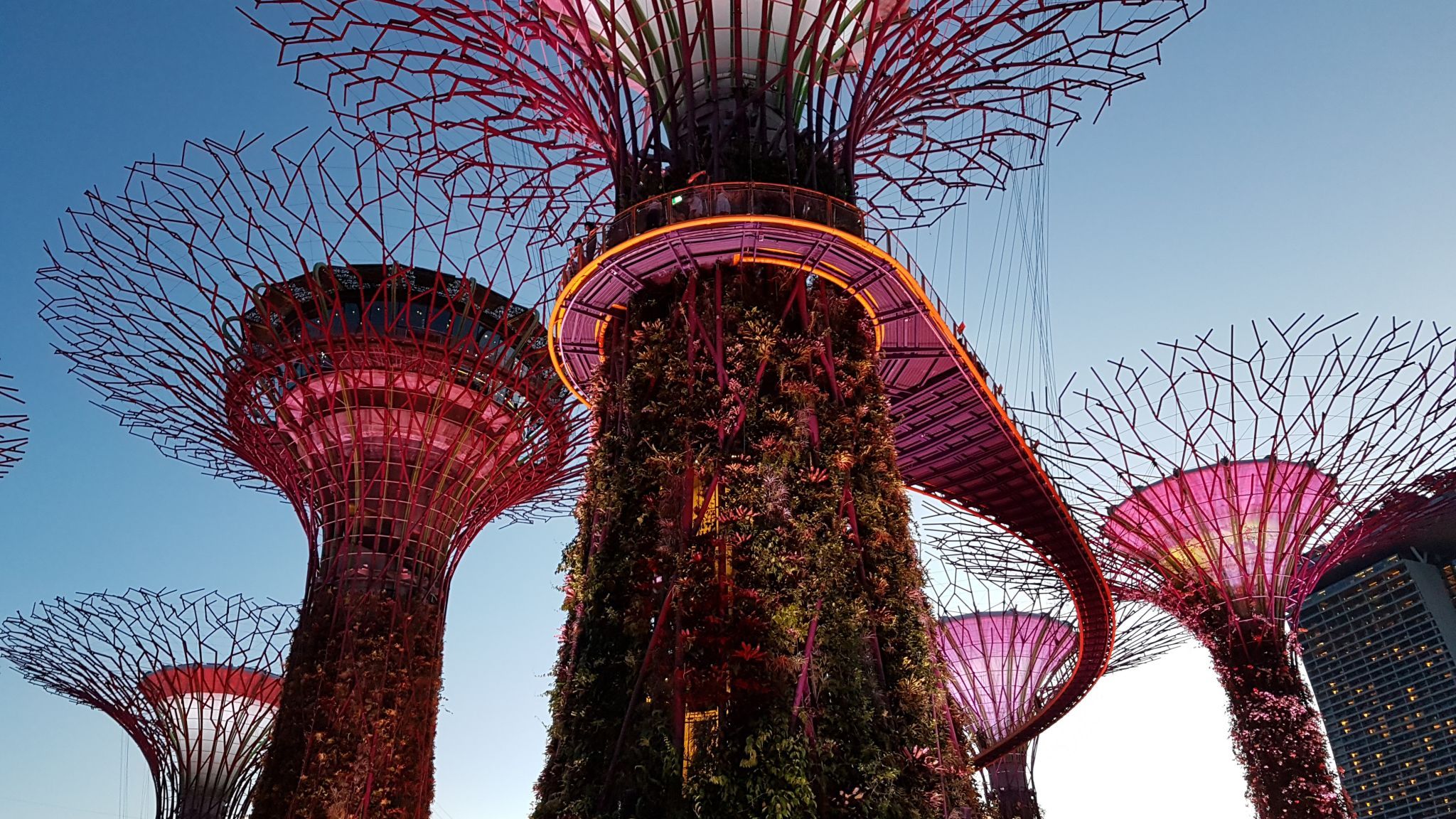 Supertree Grove - Gardens by the bay, Singapore, Singapore