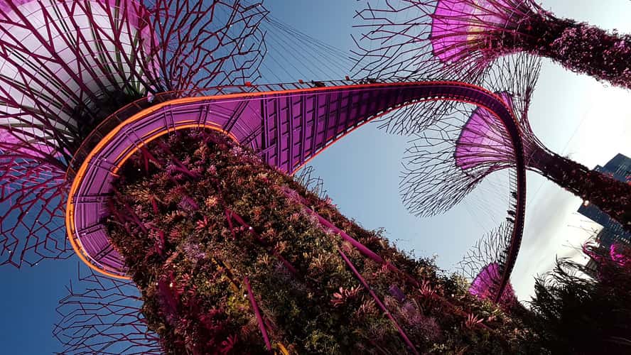 Supertree Grove - Gardens by the bay, Singapore