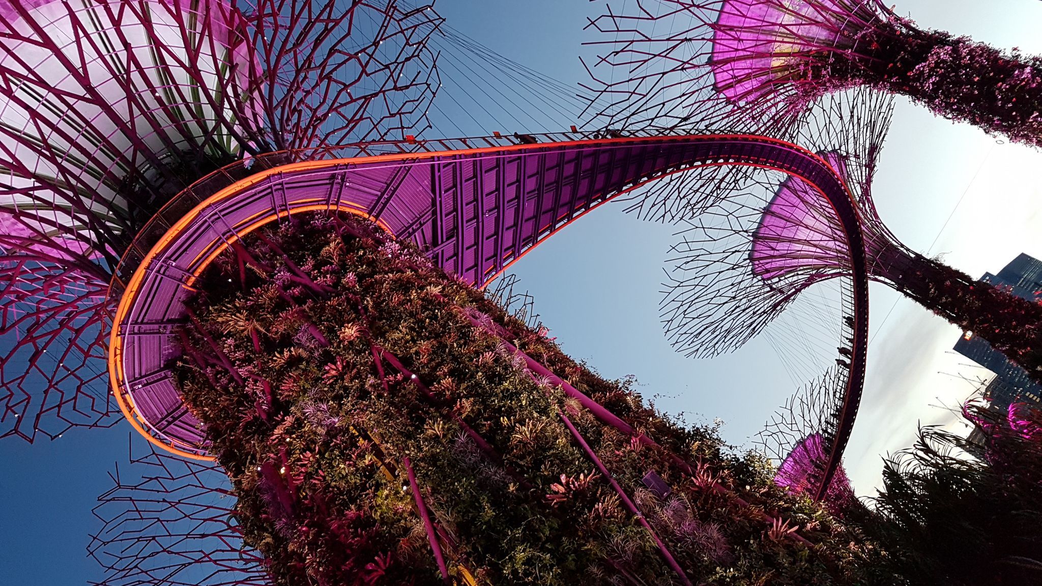 Supertree Grove - Gardens by the bay, Singapore, Singapore