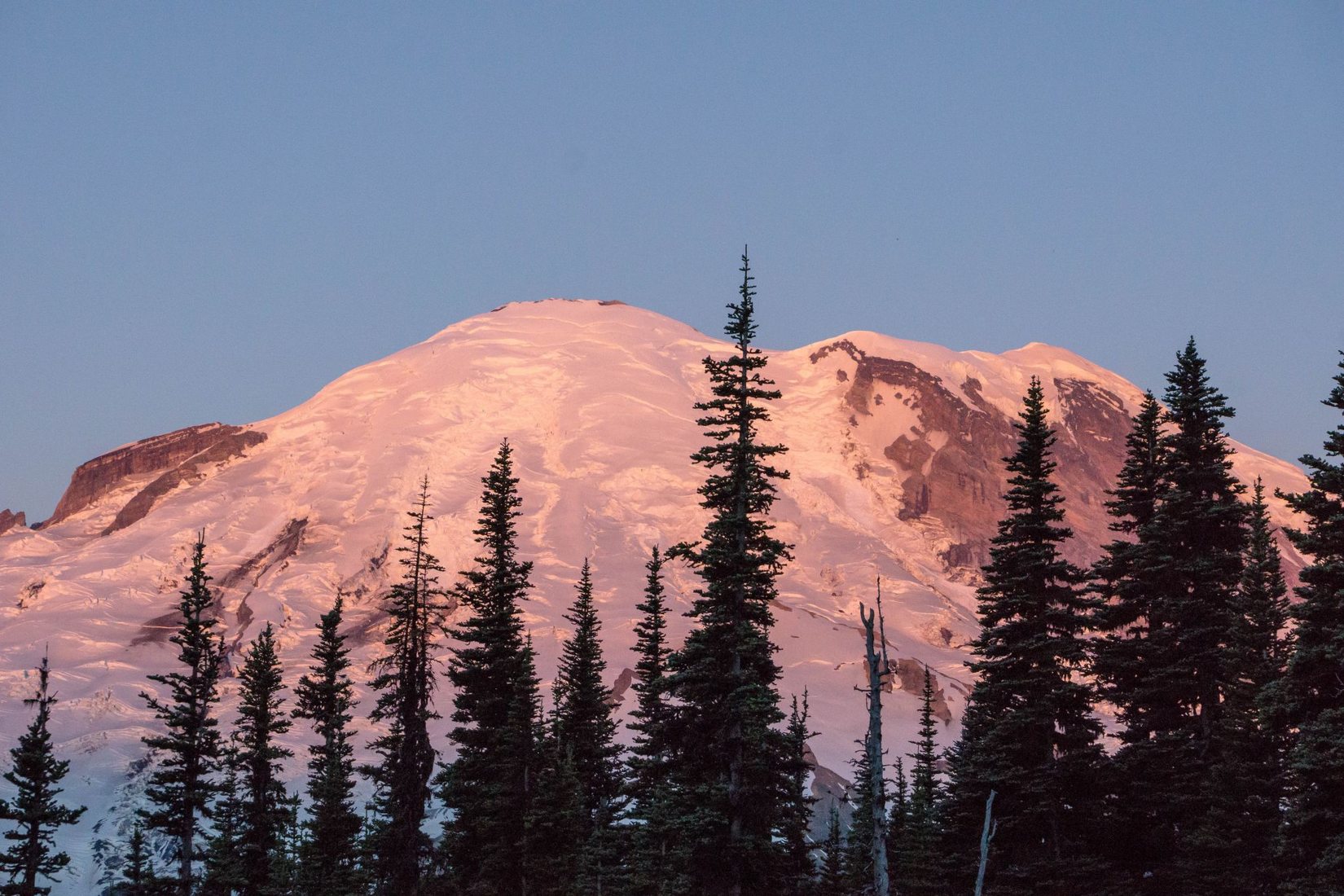 Sourdough Ridge -mt Rainier National Park, Usa