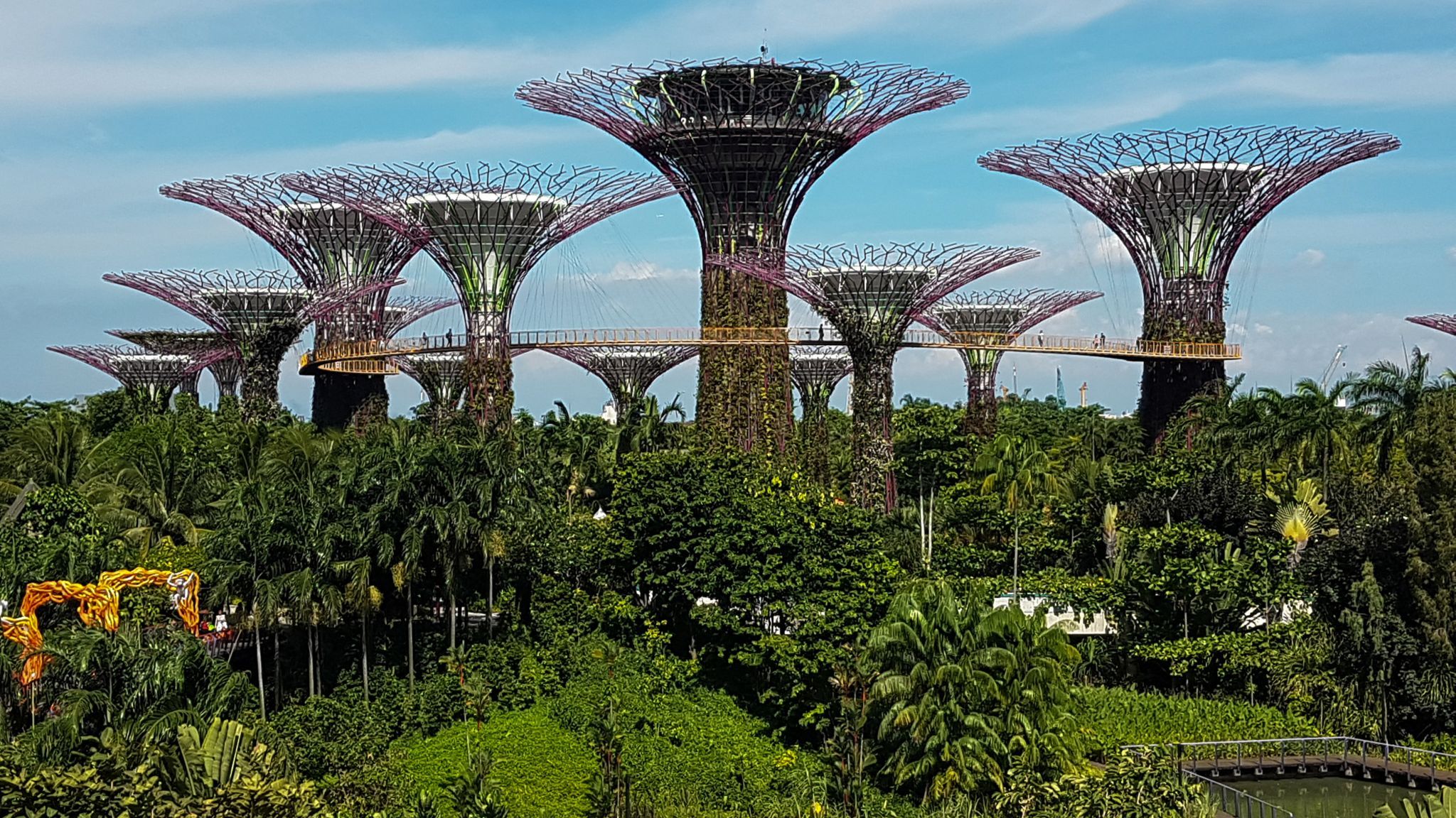 Supertree Grove, Gardens by the bay, Singapore