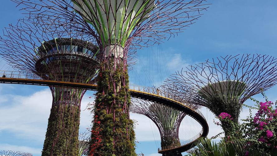 Supertree Grove, Gardens by the bay