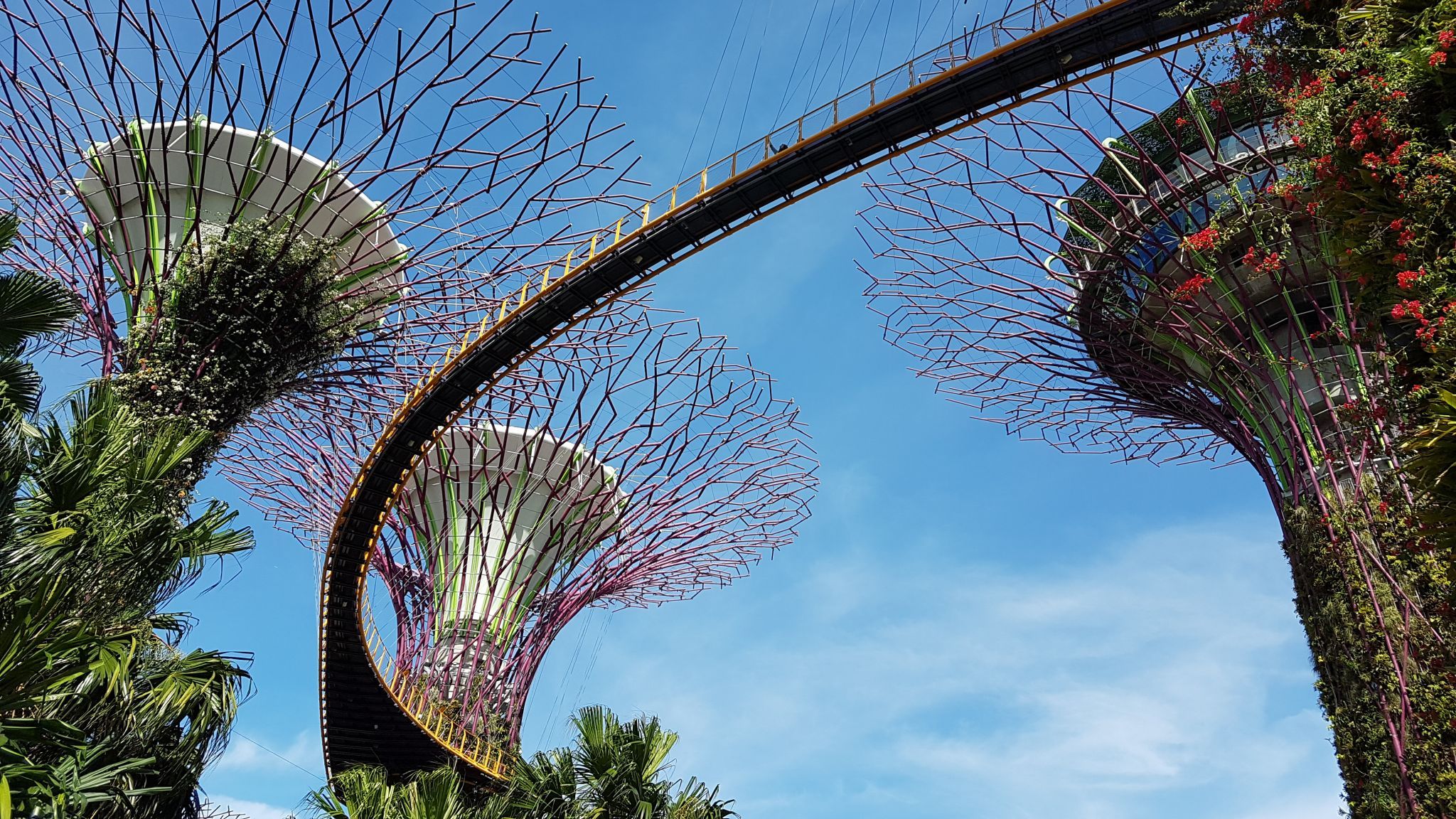 Supertree Grove, Gardens by the bay, Singapore