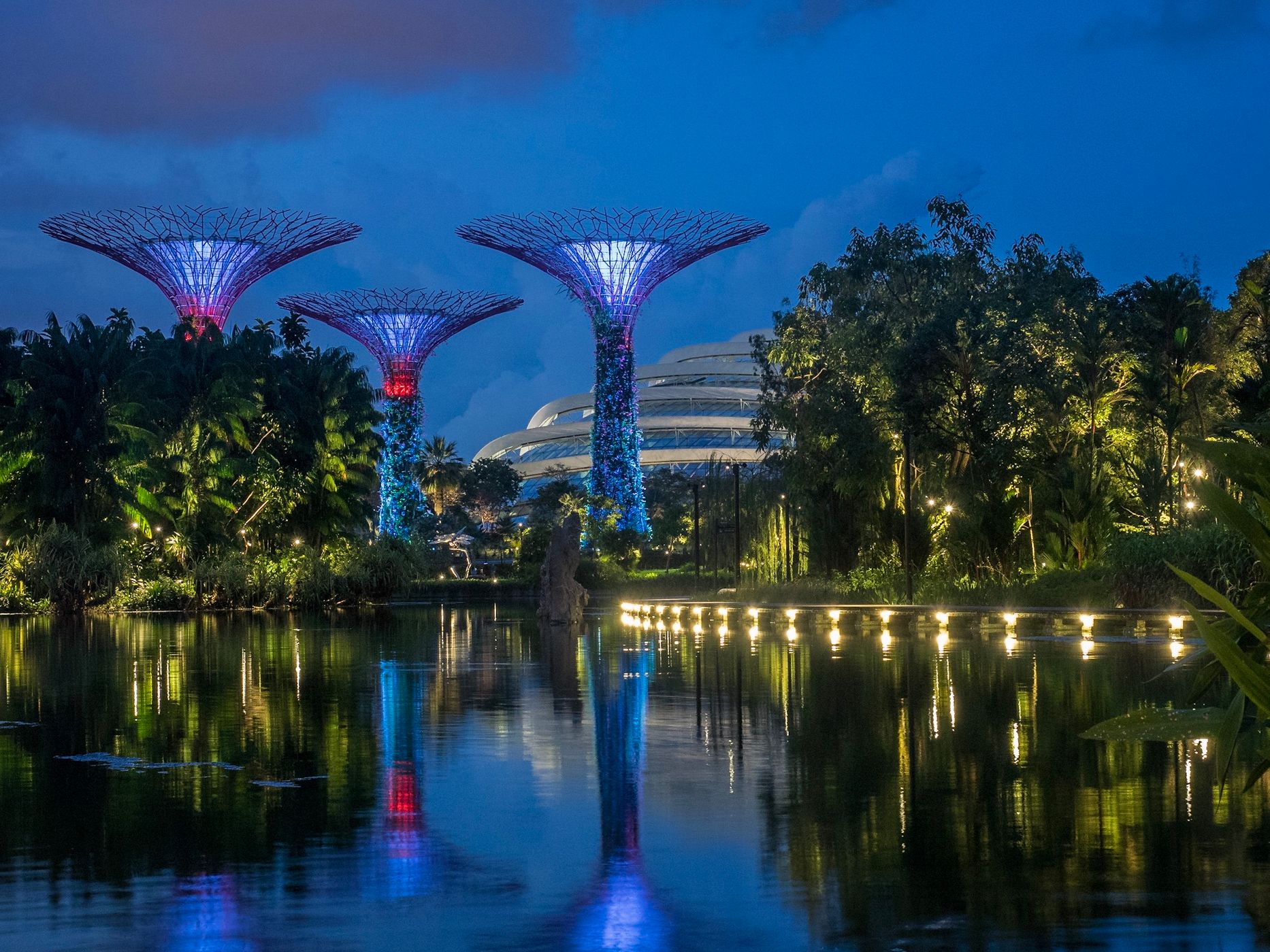 Supertree Grove, Gardens by the bay, Singapore