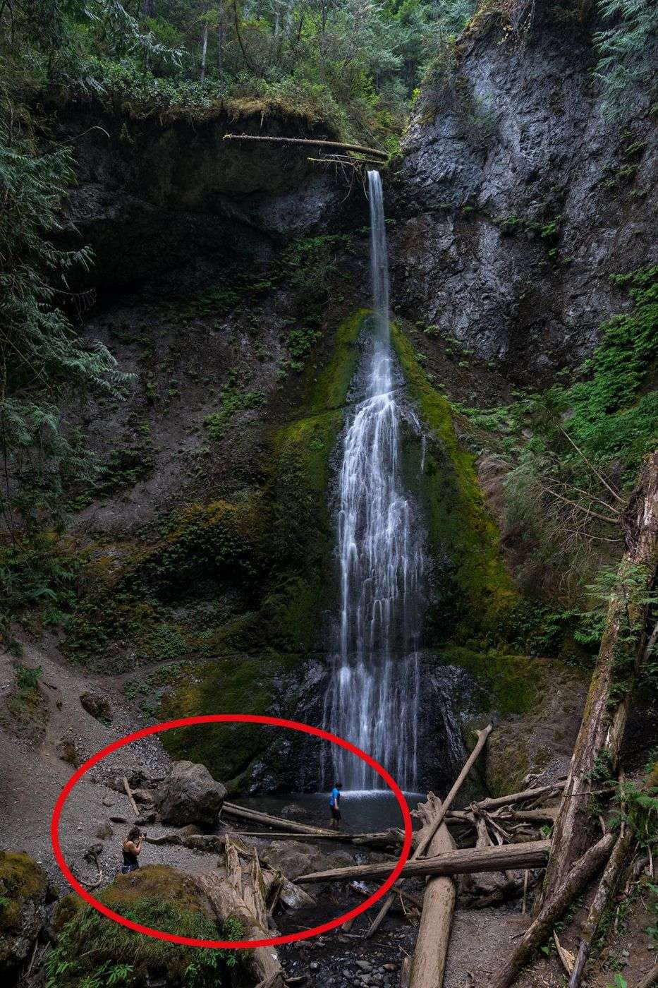 Enjoying this beautiful waterfall called Marymere Falls near Seattle isn't always that easy. The fence doesn't prevent people from getting down there and in this case, there were around 50 people (some of them were even yelling at them), that had to wait for quite some time until they finished their private photo shoot. What a nice way of this mother to teach her son how to make friends and how to respect other people...