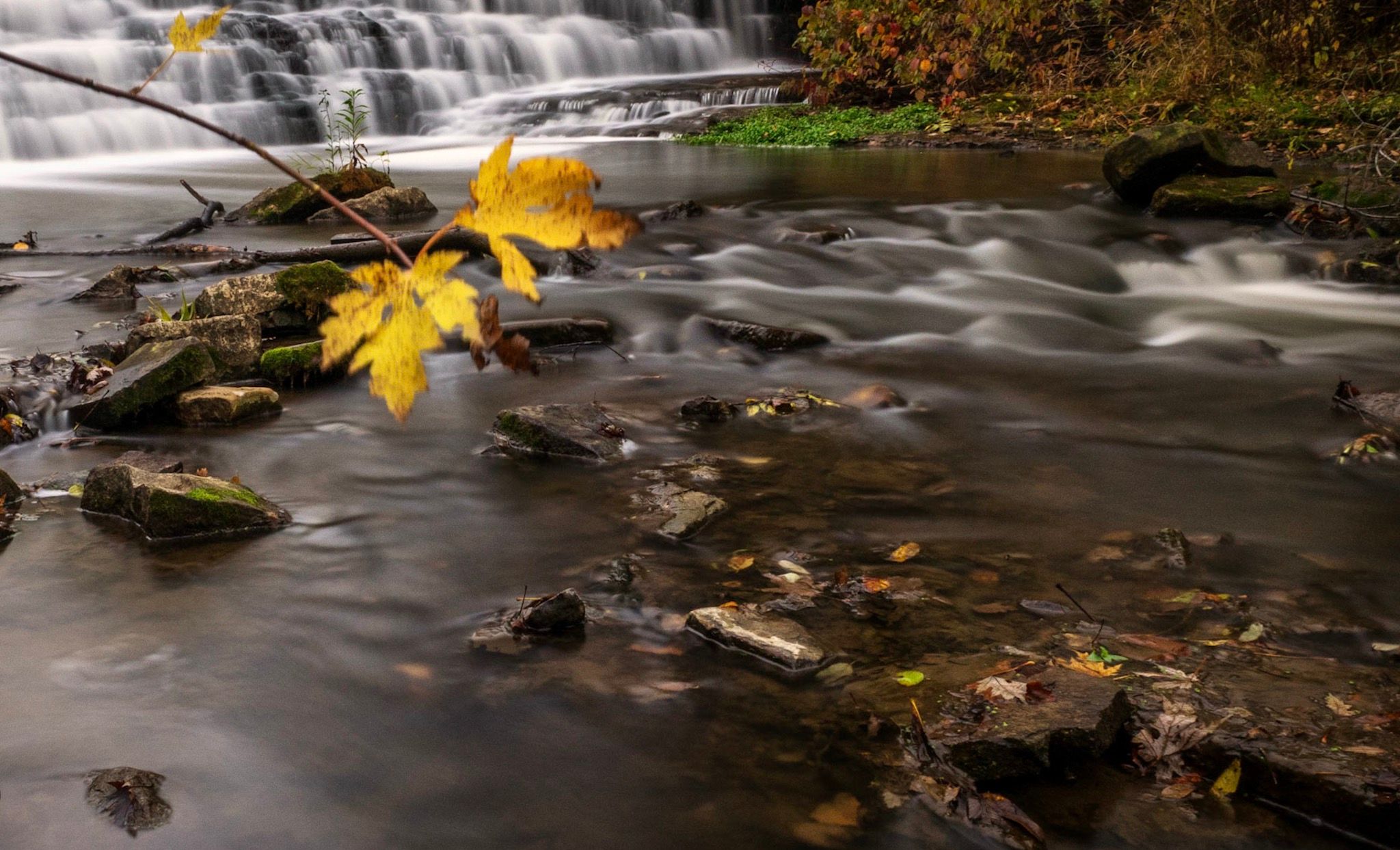 Darnley Grist Mill, Canada