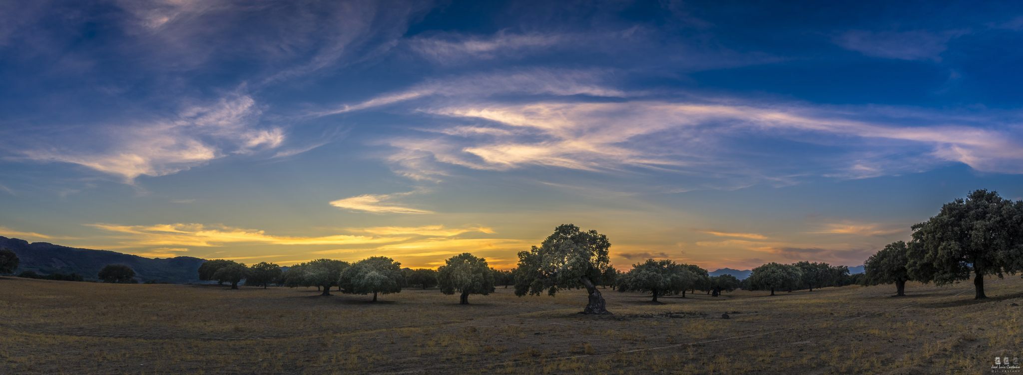Dehesa, Spain