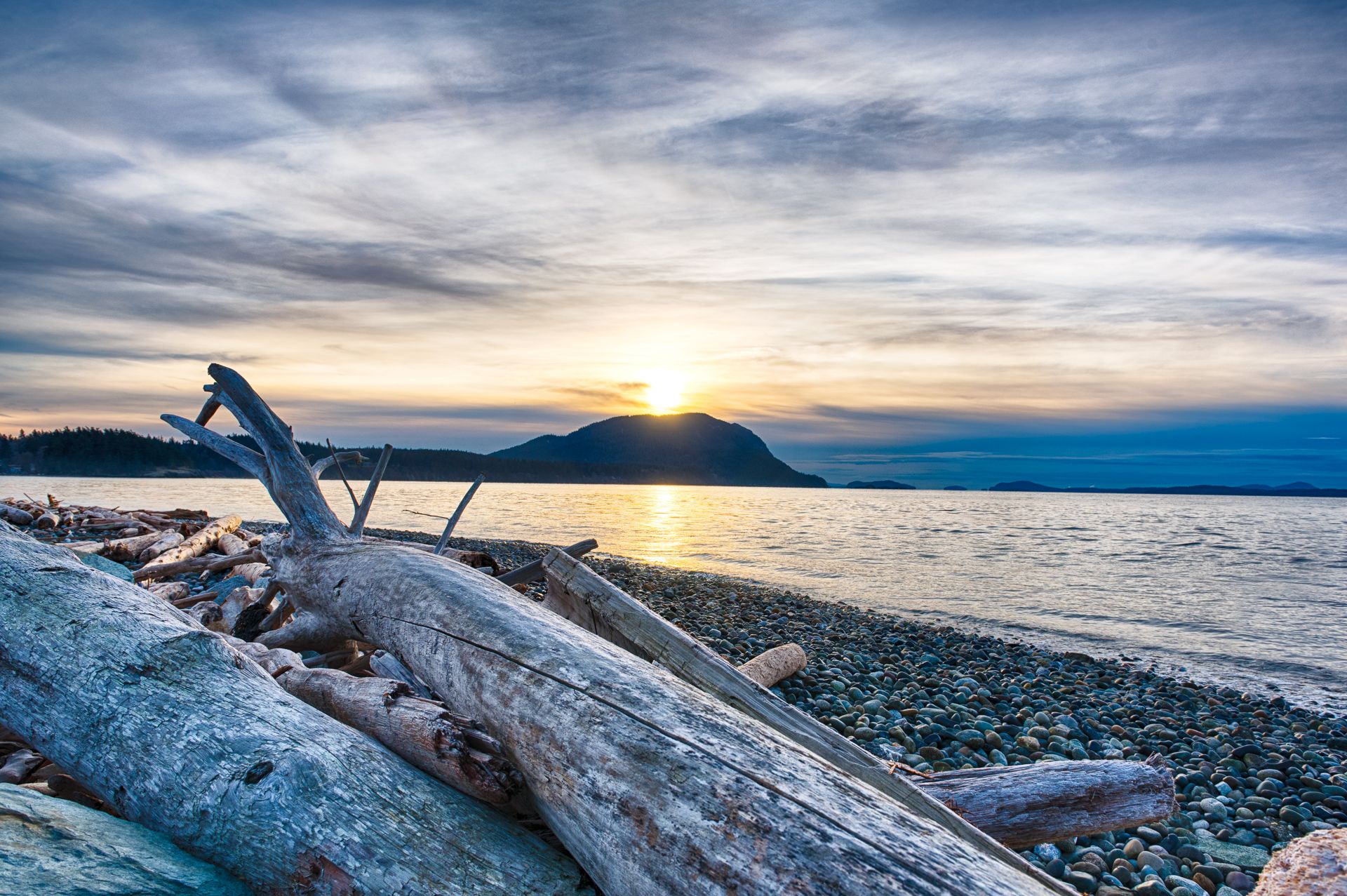Driftwood beach, Legoe Bay, USA