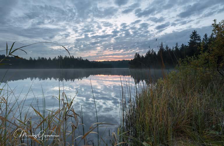 Pond at Saignelégier