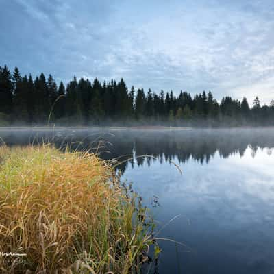 Pond at Saignelégier, Switzerland