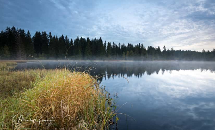 Pond at Saignelégier